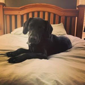 Meet your Posher, Simone